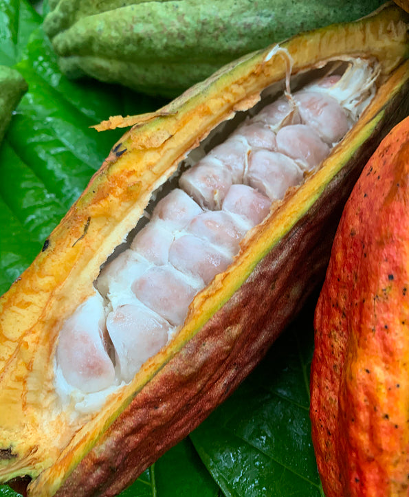 Ingredients – what, where from, why?