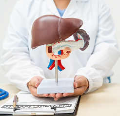 Key PointsFRUCTOSE METABOLISM & ITS CONSEQUENCES