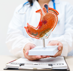 Fructose and Harmful Fat Creation