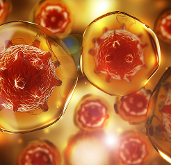 Fructose, Sucrose & Immune Dysfunction